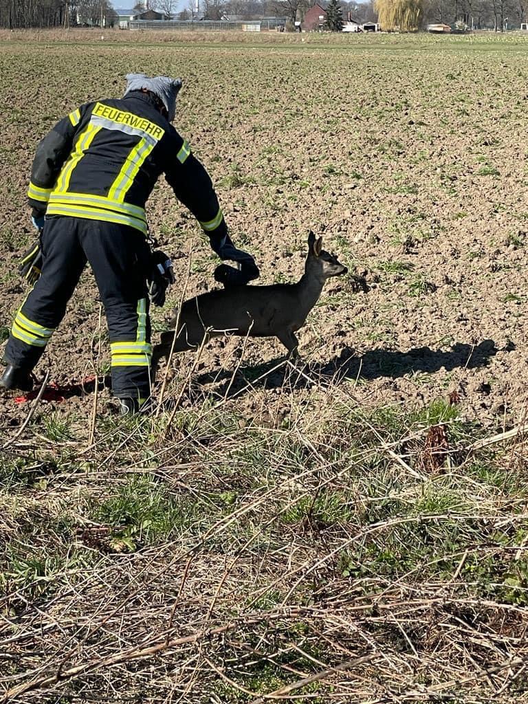 Technische Hilfe Technische Hilfe